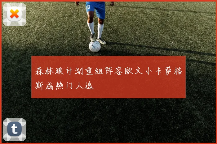 森林狼计划重组阵容欧文小卡萨格斯成热门人选